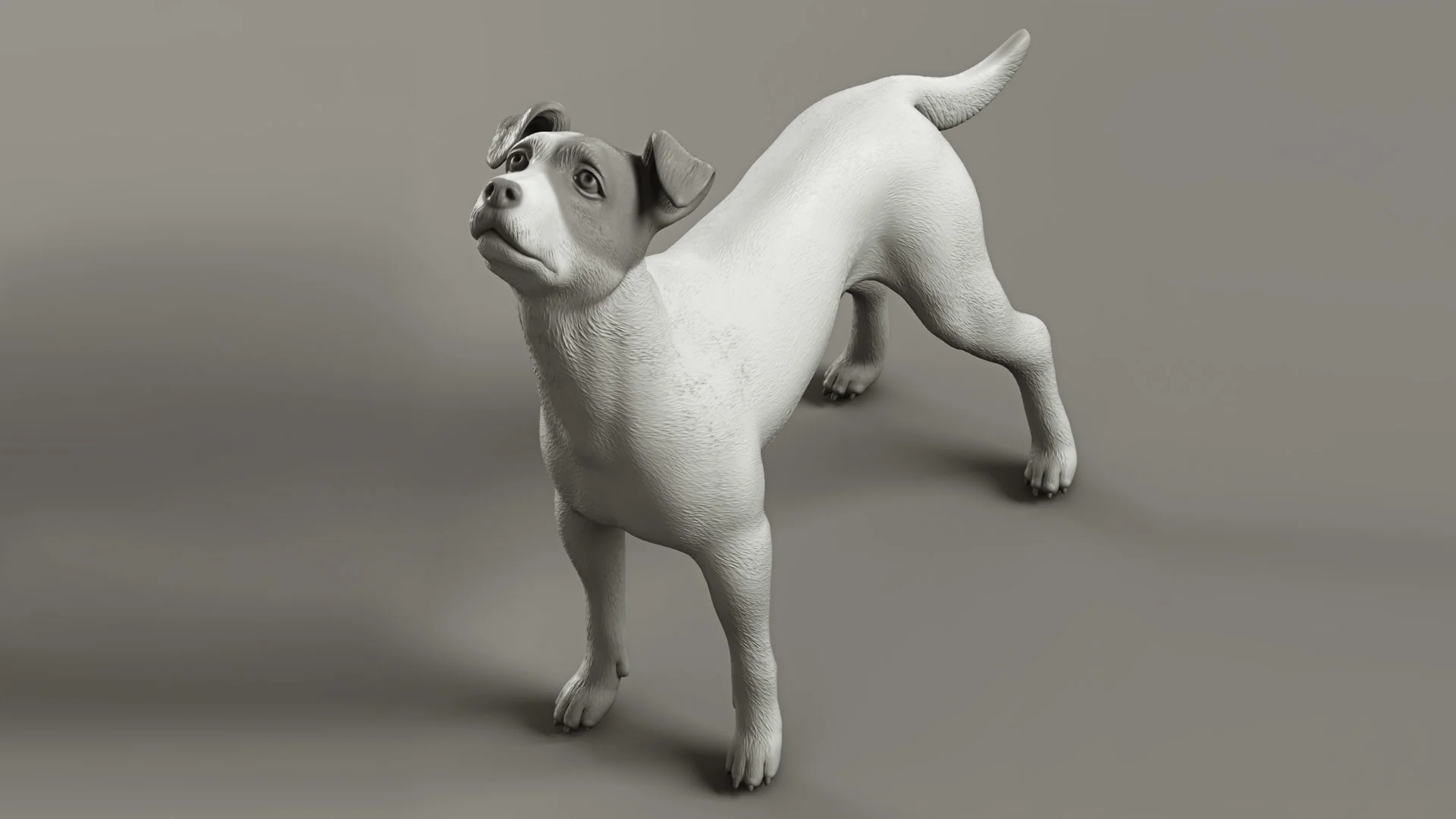 Dog-themed Toyfight website character by Anna Schmelzer